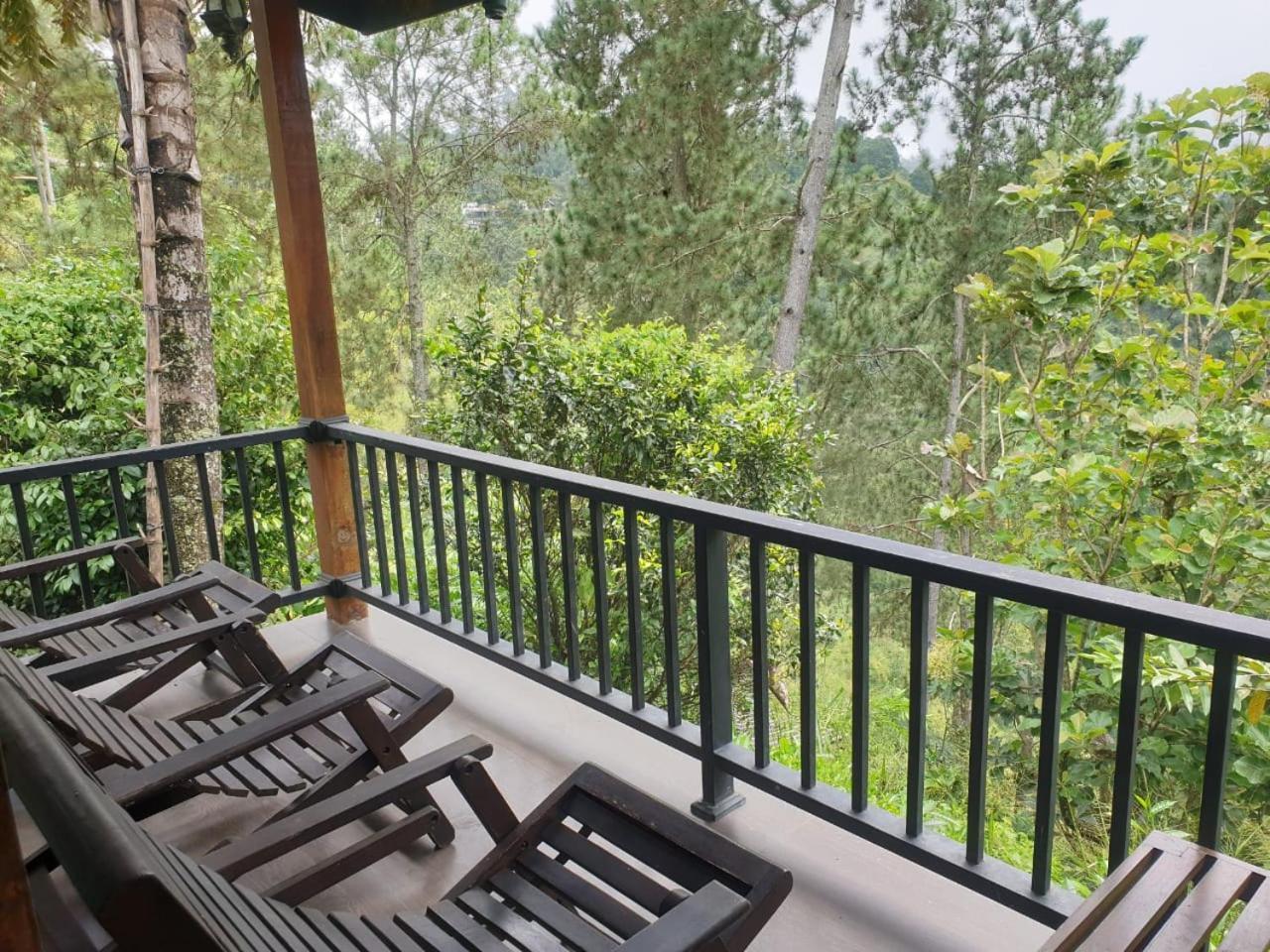 Ella Mount Relax Cottage Zewnętrze zdjęcie