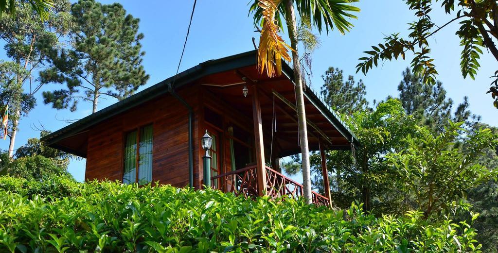 Ella Mount Relax Cottage Zewnętrze zdjęcie